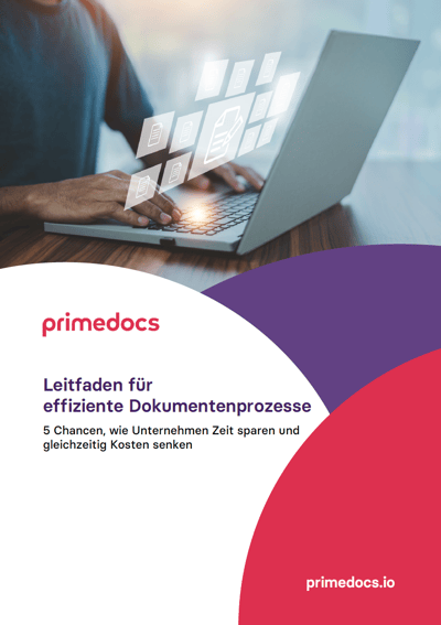 Whitepaper_Leitfaden_Effizienz
